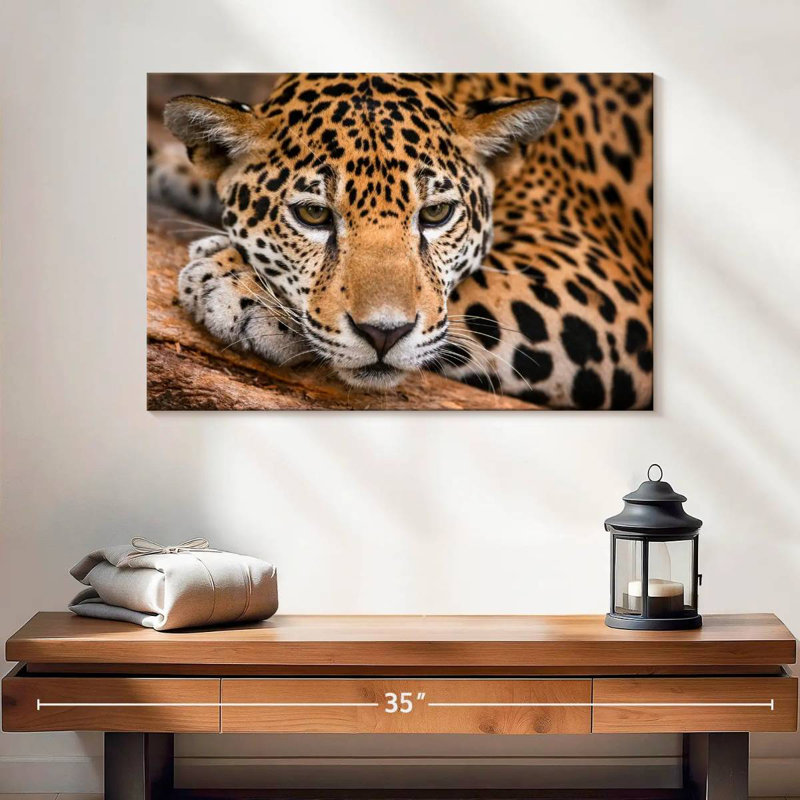 Jaguar au Belize, H 16 po x l 24 po