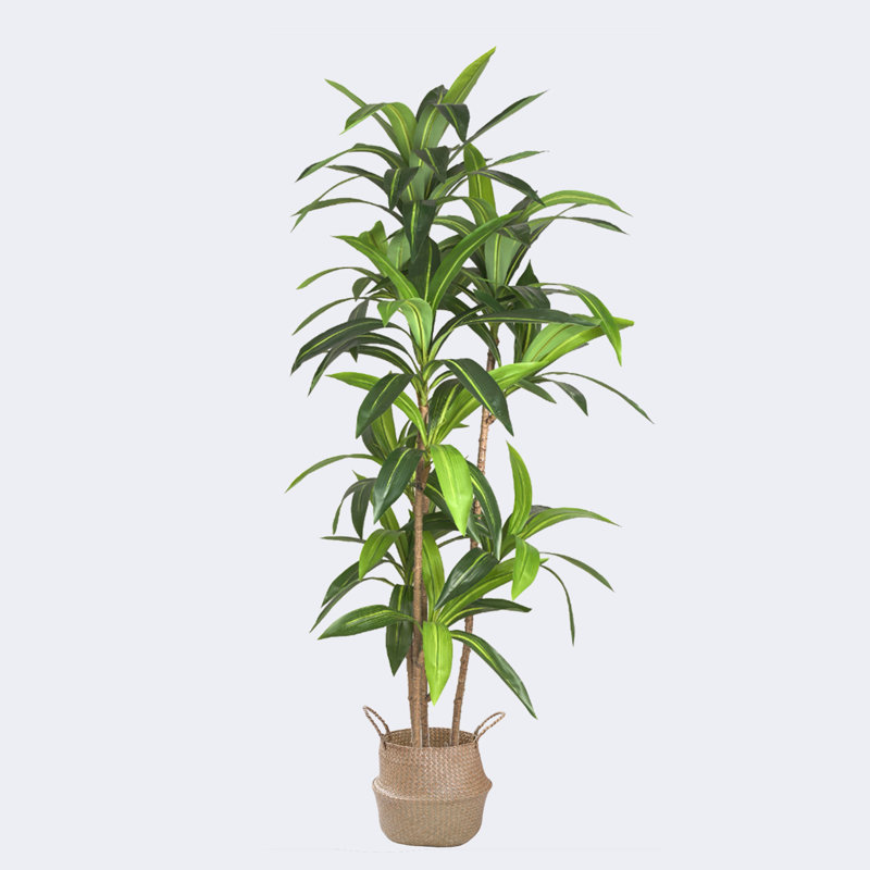 Pot à fleurs artificiel Dracaena, H 19,69 po x l 70,87 po x P 19,69 po
