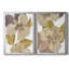 «Neutral Pansy I», ensemble de 2 impressions sur toile encadrées-533357212-533357213