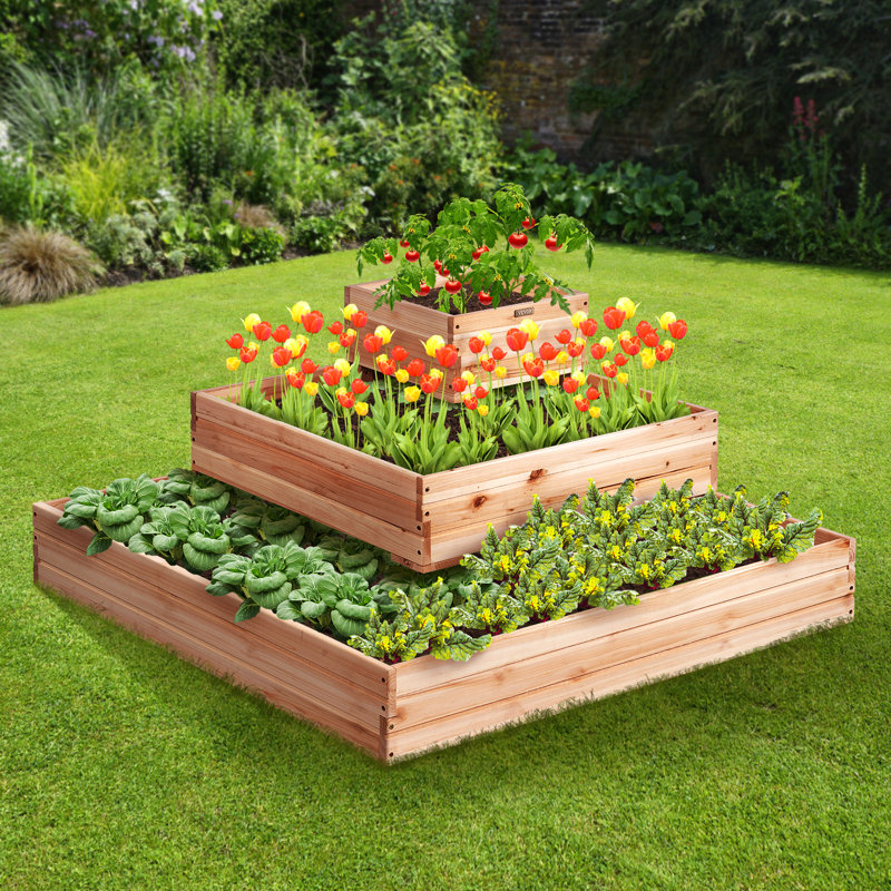 Carlous Wood Raised Garden Bed