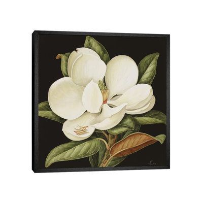 Magnolia Grandiflora, 2003 by Jenny Barron - Painting on Canvas