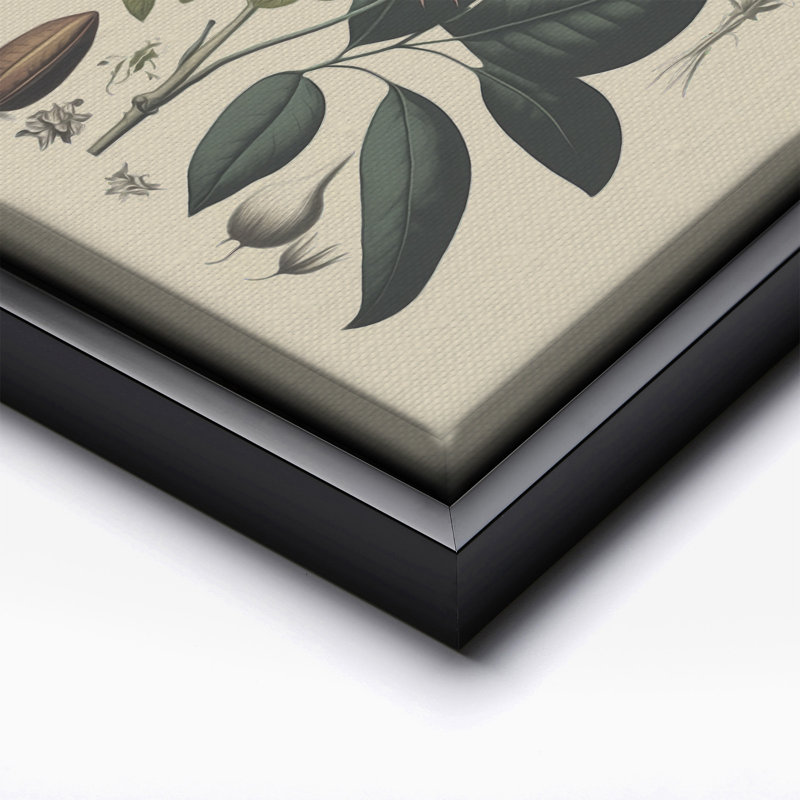 Wild Flower No1, Black Framed, Canvas, 24"H x 32"W
