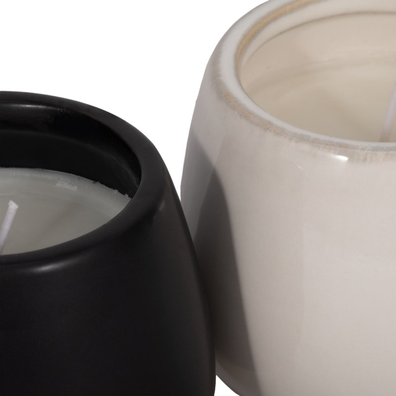 Set Of 2 9Oz Hibiscus Coconut 4"Knobby Feet Cndle, Multi