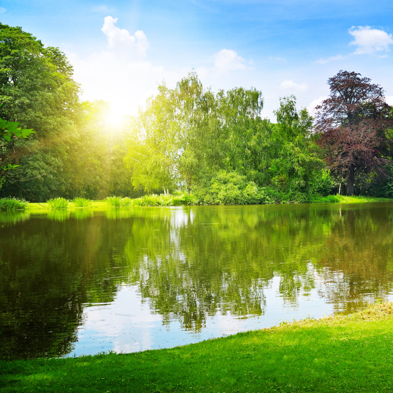 Lake In The Summer Park by AlinaMD - Wrapped Canvas Print, 30cm H x 30cm W