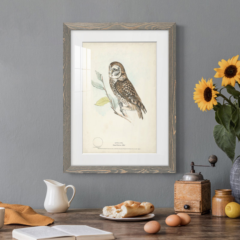Little Owl Premium encadré mat - prêt à accrocher, H 38 po x l 28 po x P 1 po, Encadré gris