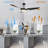 Aroz 60'' Ceiling Fan with LED Lights-1192084735