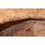 One-of-a-Kind Rectangle 15'8" X 17'4" Area Rug