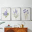 Lilas botanique délicat - Toile tendue avec châssis sur mesure - 3 pièces-586381240-586381241