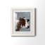 Cow On Galvanized Metal Cow On Galvanized Metal - Picture Frame Print-1221827182-1221827174