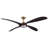 Mortyn 60" Led Indoor/outdoor Ceiling Fan-116509629-116509626