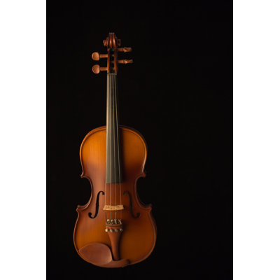 Violin - Wrapped Canvas Print