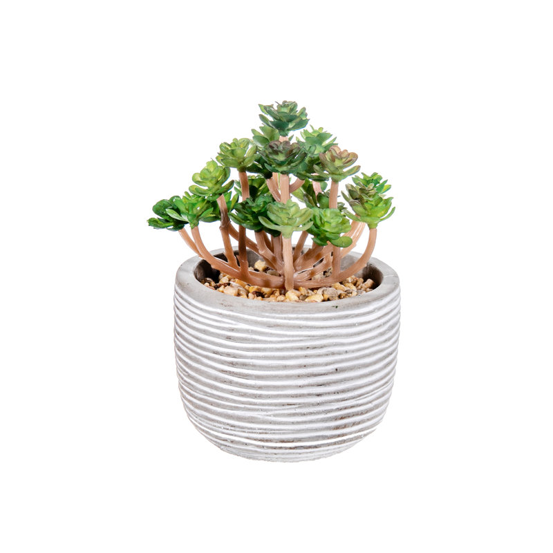 Succulent artificiel en pot de ciment (assorti) - ensemble de 2