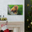 No Frame Print on Canvas