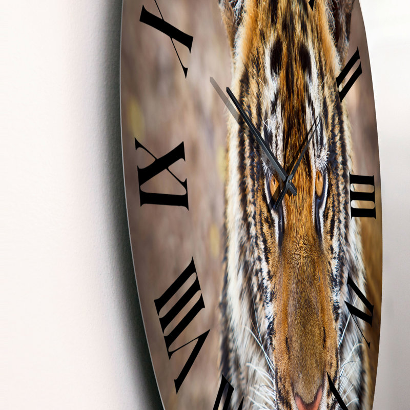 Portrait d'un tigre sauvage - Horloge murale traditionnelle, Grand