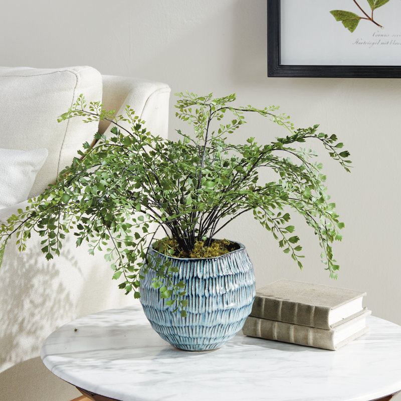 VISTA POT, Bleu