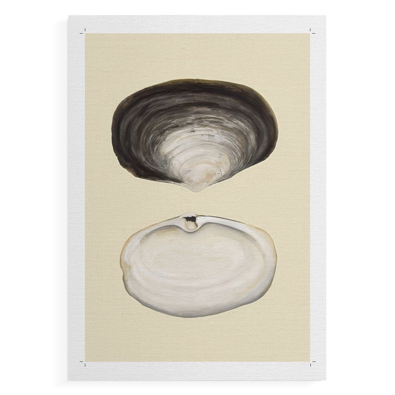 Bivalve Shells II - Impression sur toile seulement - NON CADRE