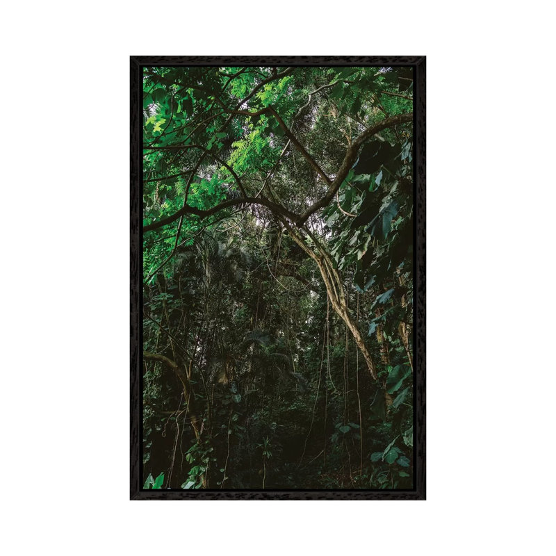 Hawaiian Forest 1 Piece Wall Art on Canvas, 101.6cm H x 66.04cm W x 3.81cm D, Black Framed