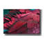 «Feather» par PhotoINC Studio-766199958