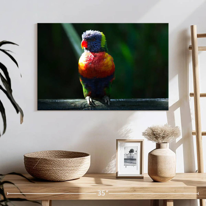 Brampt Sunlit Rainbow Lorikeet, 16" H x 24" W