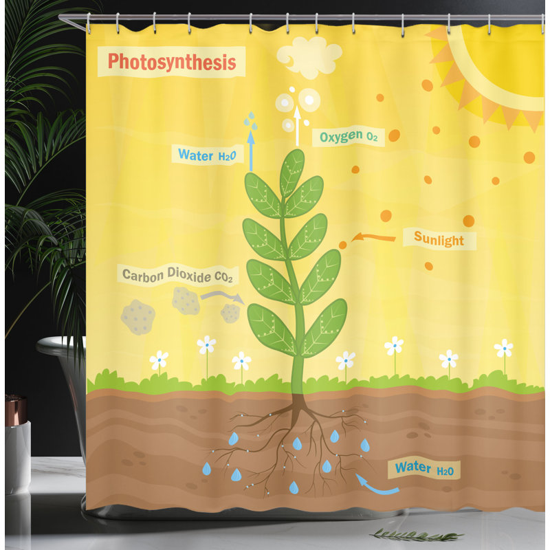 Shower Curtain with Hooks Included, 70"H x 69"W