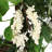 Potvin Handcrafted Faux Polyester 25.5'' Wreath-349355154
