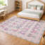 Tapis intérieur / extérieur lavable à la machine Chantille ACN2827-766237177-766237174