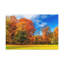 No Frame Print on Canvas-712823762