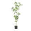 ARBRE À PIERIS 120CMTIFTIFS-1859716857