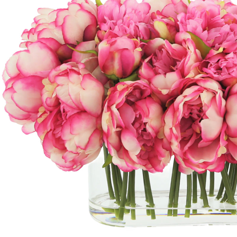 Pivoines disposées dans un vase en verre, Rose