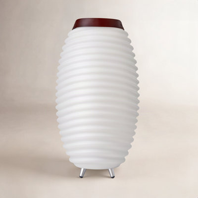 Synergy 50 Portable Speaker