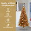 vidaXL Christmas Tree with 150 LEDs with Stand Gold PET-1271757097