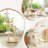 Transformable Cat Tree, Large Wood Cat Tower