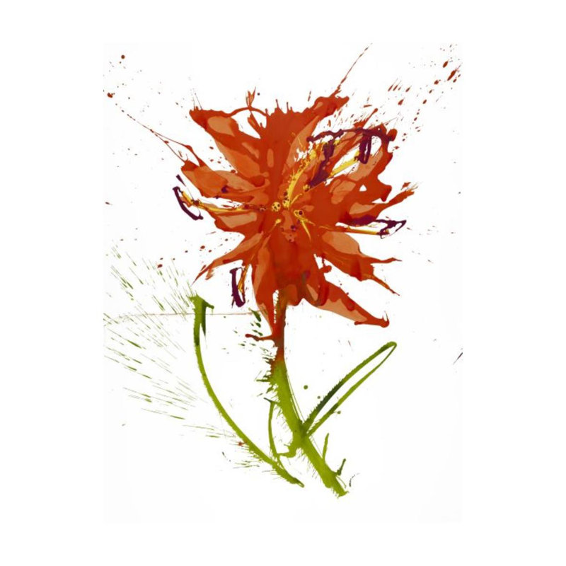 «Gestural Florals VII» par Paul Ngo - impression, H 40 po x l 30 po, Couche de verre