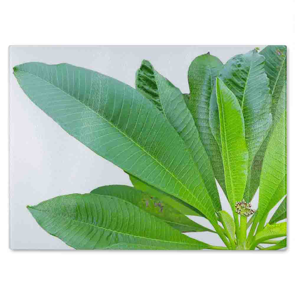 Collection Of Leaves On White Glass Chopping Board