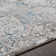 Juanisha Oriental Indoor Rug