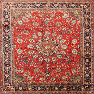 Cienna Oriental Indoor Rug