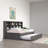 Hiam Kids Twin Daybed with Trundle