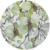 Orchid Vanda Alba 16'' Vinyl Placemat