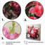 Fuchsia rétro rose, art mural Fuschia-1796220842-1796220853