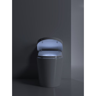https://assets.wfcdn.com/im/68773001/resize-h310-w310%5Ecompr-r85/2634/263447767/smart-bidet-seat-for-elongated-toilets-with-remote-control-temperature-display-auto-open-and-close.jpg