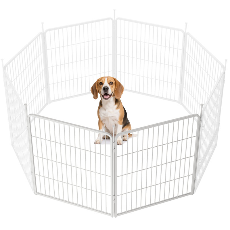 Panneaux de enclos pour chien multi-tailles en métal avec 1 porte, H 32 po x l 214,4 po, Blanc