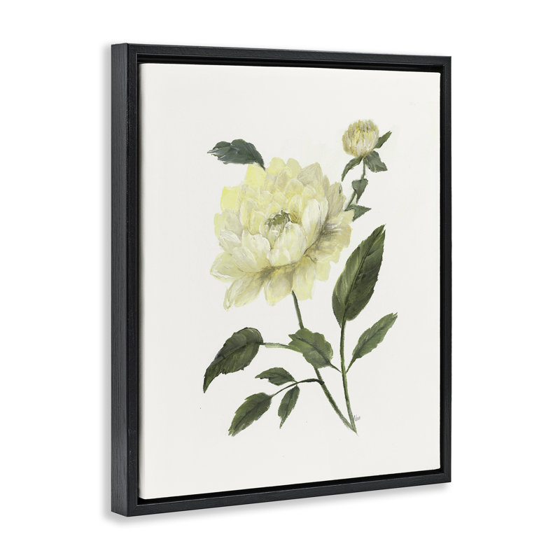 Cadre flottant crème avec pivoines de jardin crème, design par Nan, H 21 po x l 17 po, Cadre flottant noir de jais
