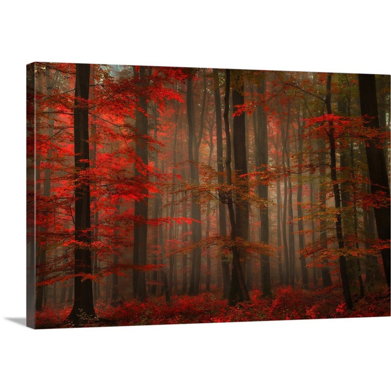 " Enchanting Red " by Philippe Sainte-Laudy, 24" H x 36" W x 1.5" D