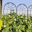 Treillis de jardin en métal antirouille pour plantes grimpantes