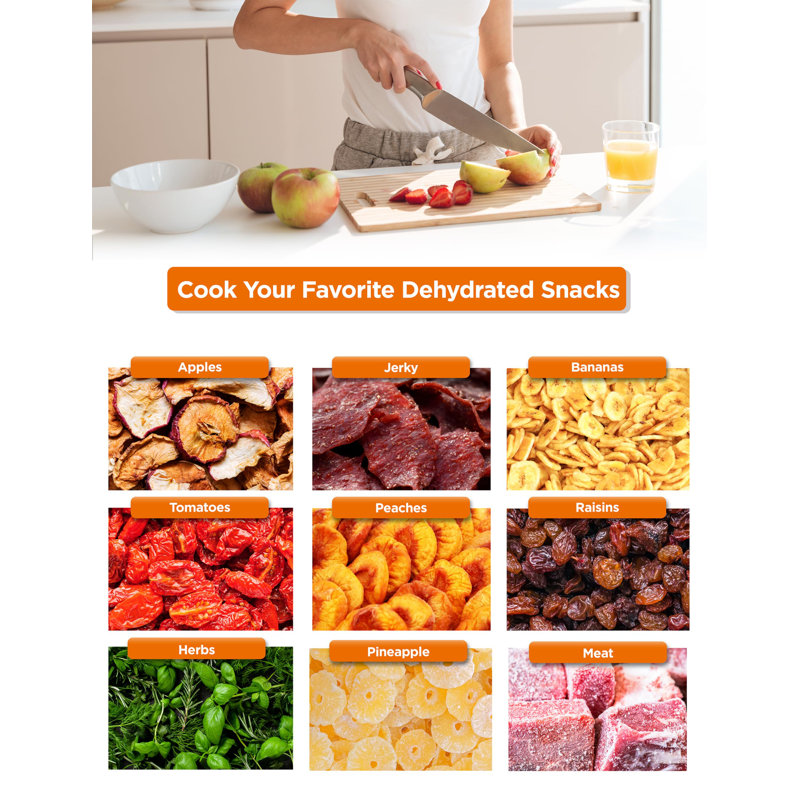 White Adjustable Thermostat Food Dehydrator with 5 Trays