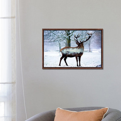 Winter Deer I 1 Piece Wall Art on Canvas