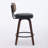 Contemporary Leisure Barstools