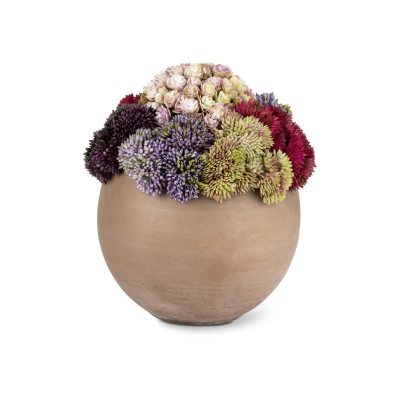 Elias Sedum Arrangement, Red/Beige/Green