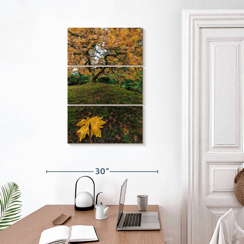 Harnek Japanese Maple Tree Autumn