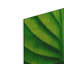 «Green Design 2» par PhotoINC Studio